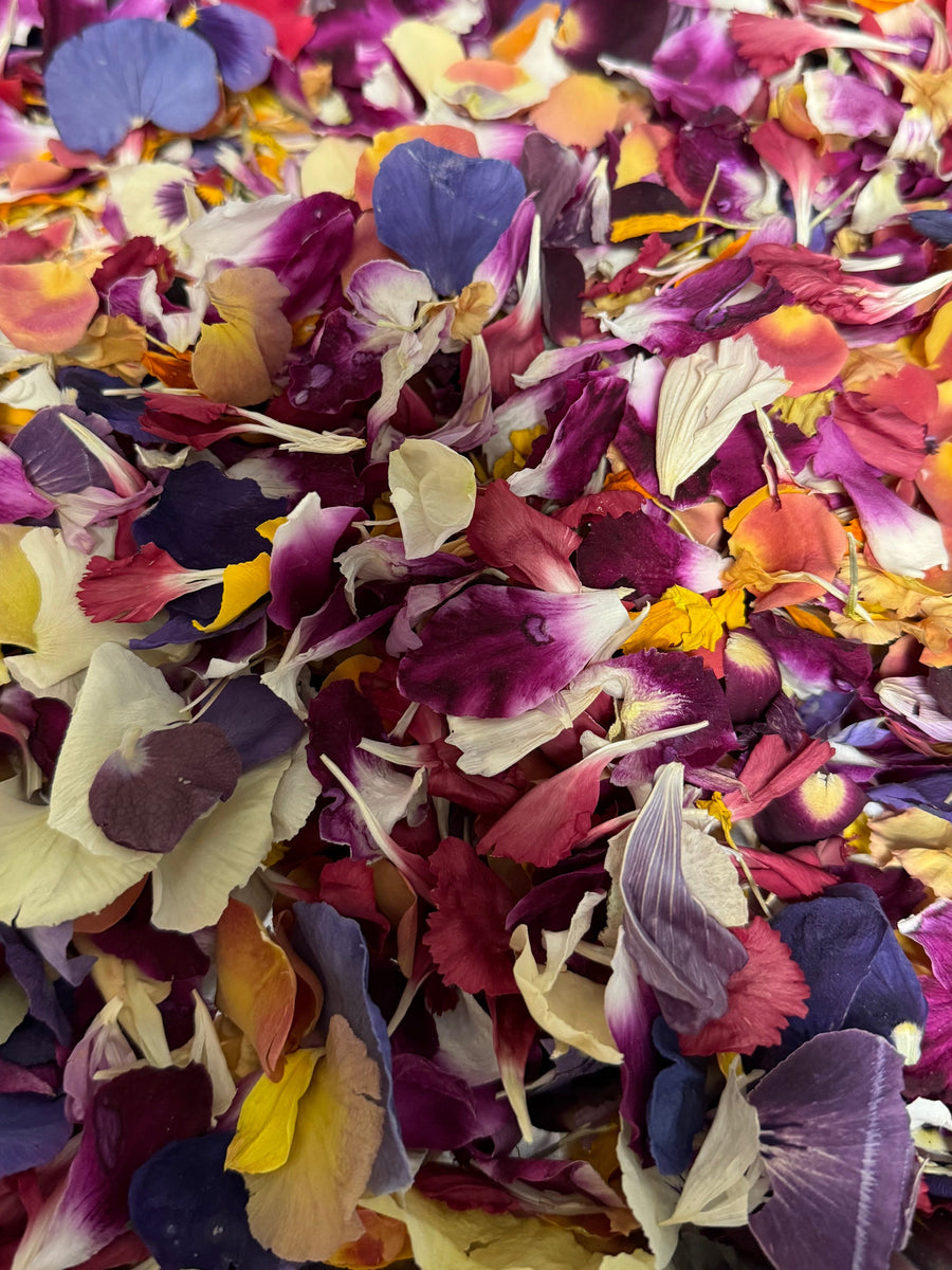Freeze-Dried Edible Flower Petals