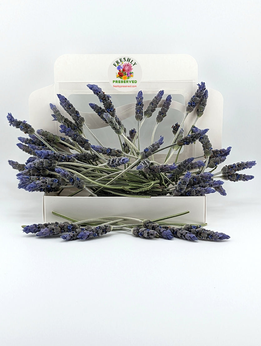 Freeze Dried Edible Lavender Freshly Preserved