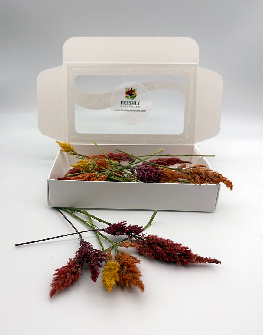 FreezeDried Edible Firesticks 1oz Edible Flowers Freshly Preserved