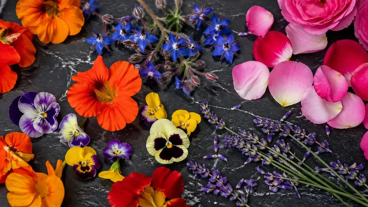 Colorful edible flowers including nasturtiums pansies and roses on white marble