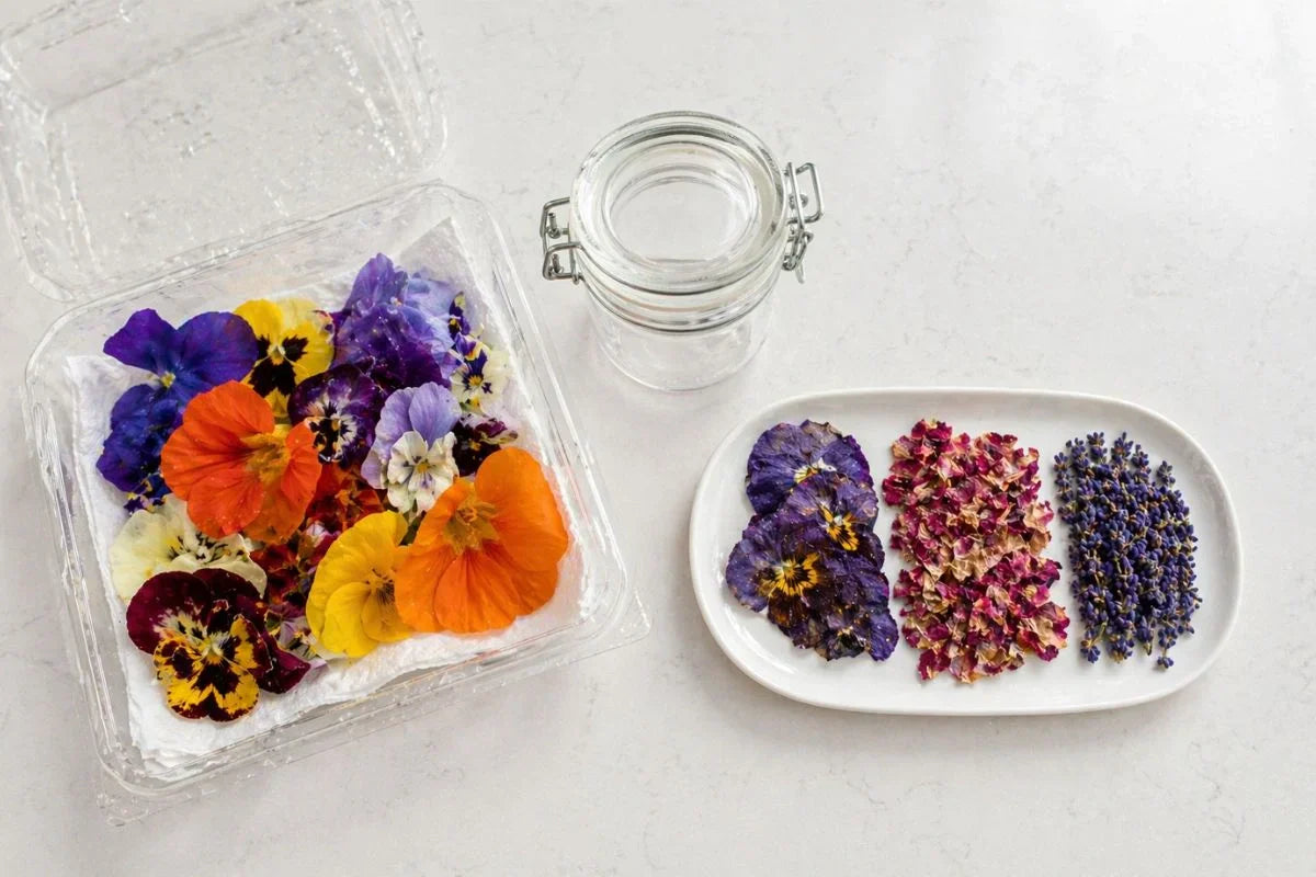 Fresh and freeze-dried edible flowers side by side