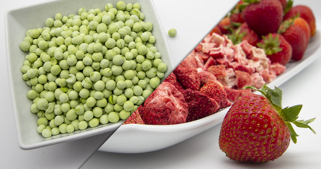 freeze dried fruit from Freshly Preserved, LLC