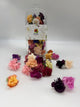 Freeze-Dried Edible Flowers (Mini Carnations and Bachelor Buttons)