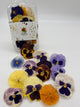 Freeze-Dried Edible Pansies