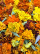 Freeze-Dried Edible Marigolds