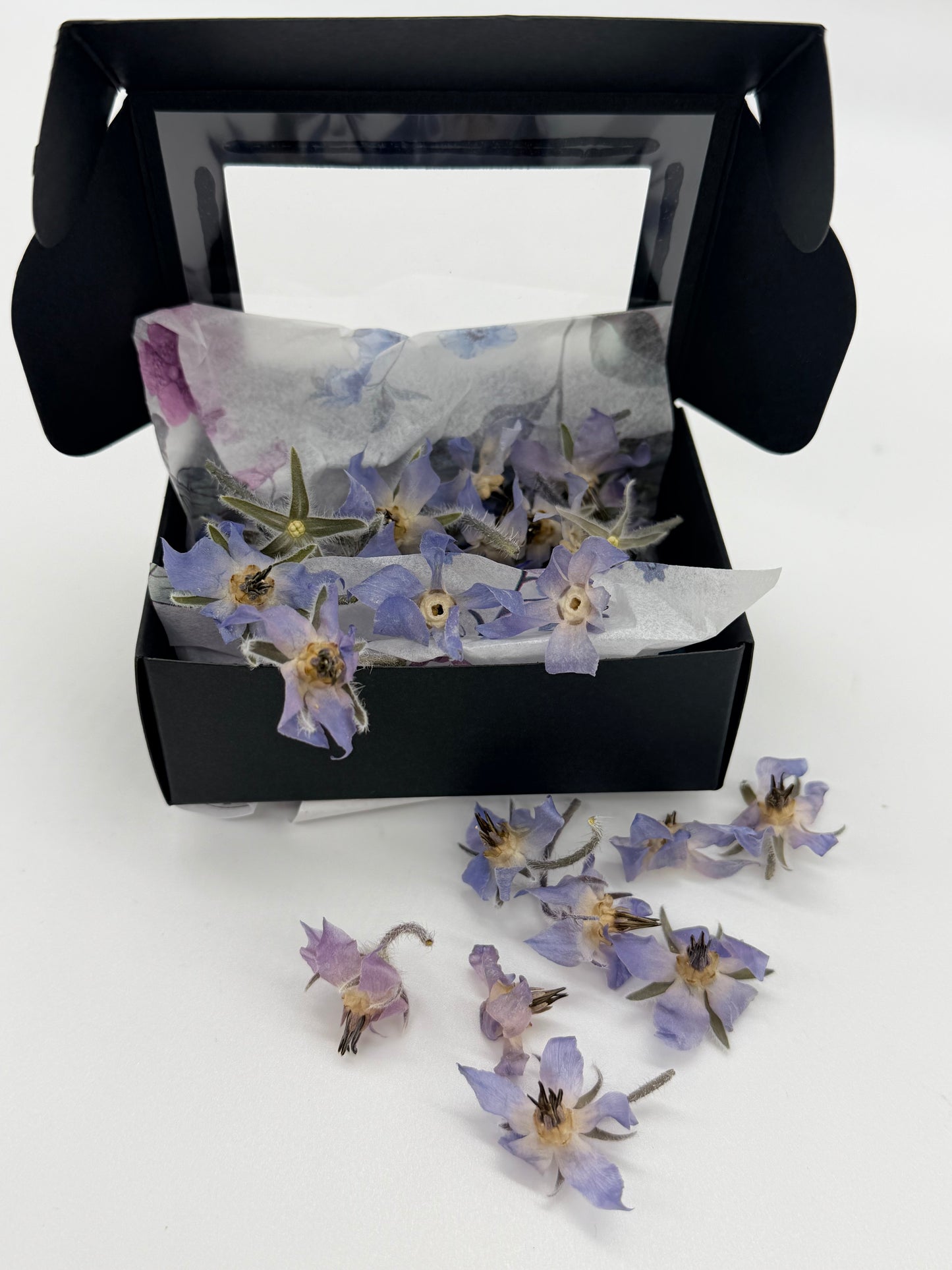 Freeze-Dried Edible Borage