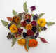 Fall Cake Decorating Kit