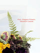 Cake Decorating Kit with Freeze-dried Edible Flowers and Greens