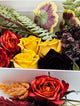 Cake Decorating Kit with Freeze-dried Edible Flowers and Greens