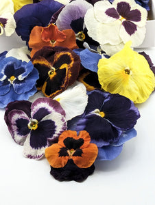 Freeze-Dried Edible Pansies