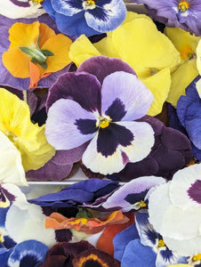 Freeze-Dried Edible Pansies