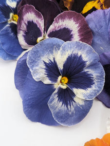 Freeze-Dried Edible Pansies