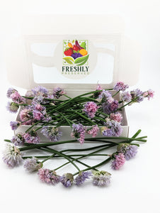 Freeze-Dried Edible Chive Flowers