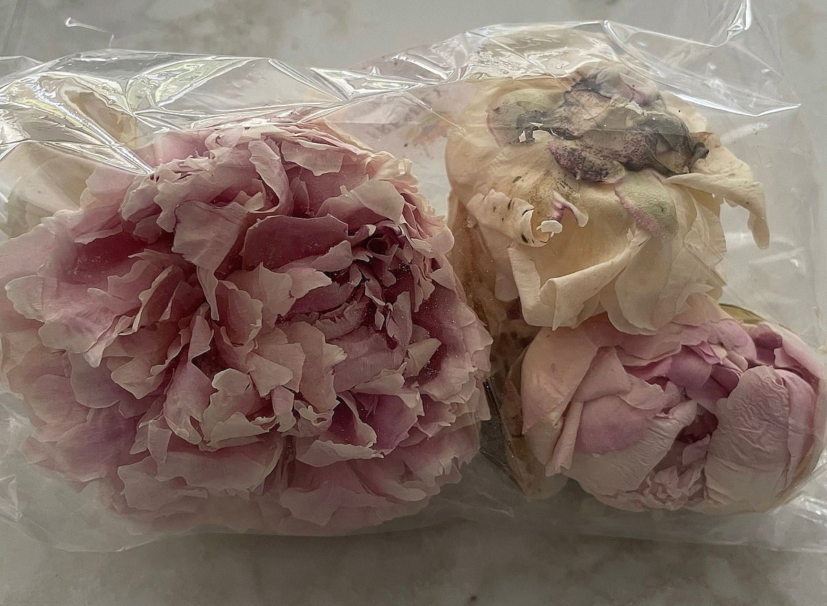 Freeze-Dried Edible Peonies