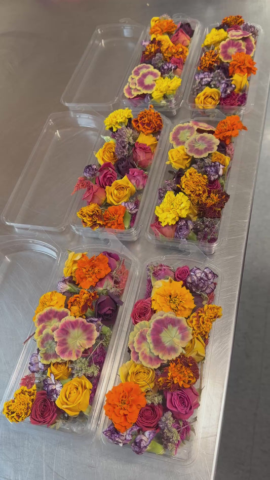 Fall Cake Decorating Kit