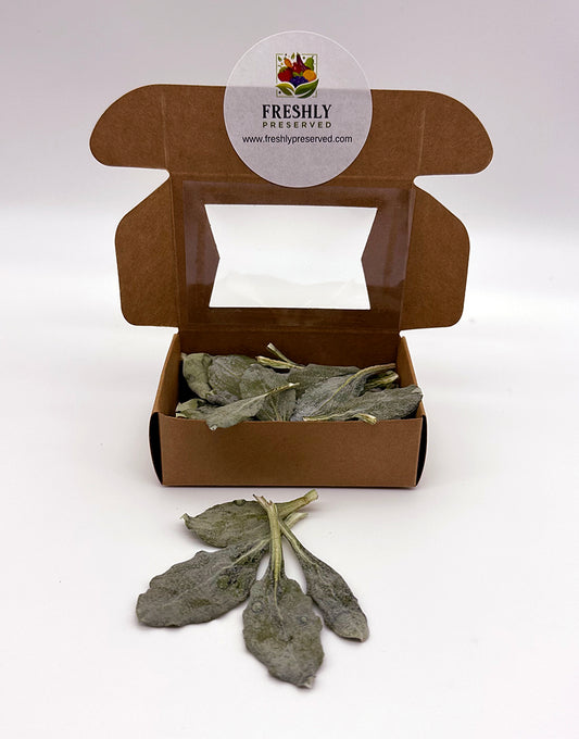 Freeze-Dried Edible Oyster Leaves