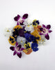 Freeze-Dried Edible Flowers (Pansies & Orchids)